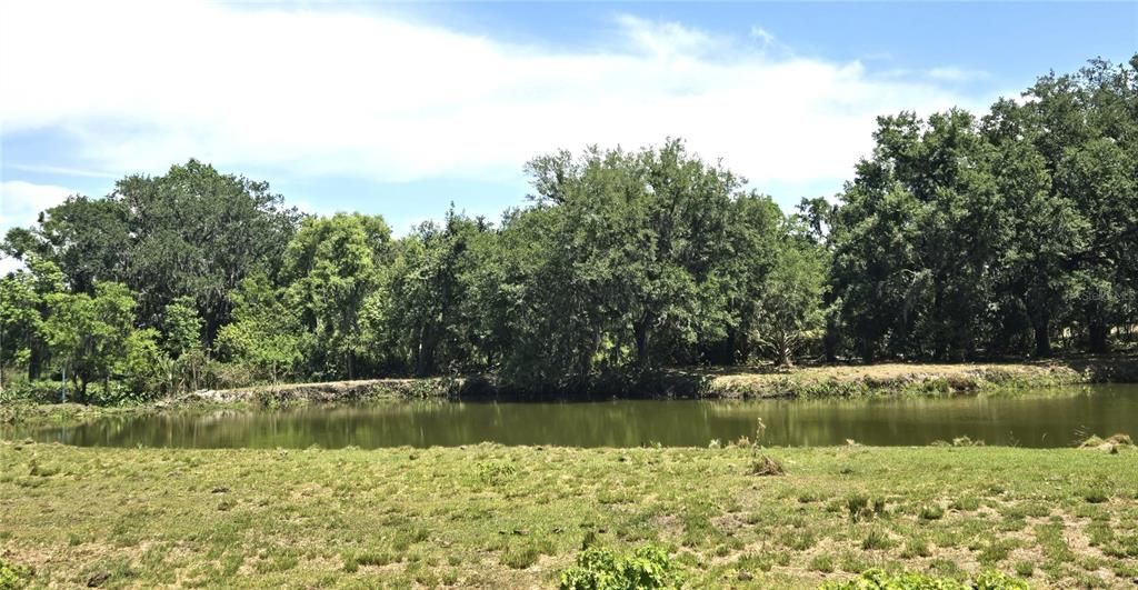 待售: $734,900 (3 贝兹, 1 浴室, 1364 平方英尺)