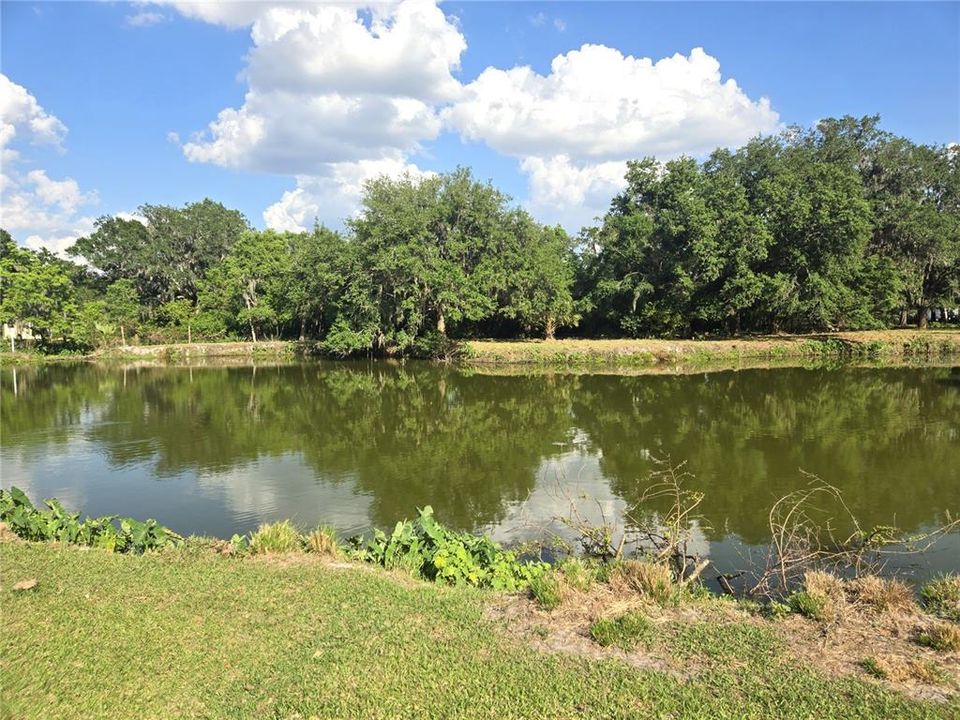 待售: $734,900 (3 贝兹, 1 浴室, 1364 平方英尺)