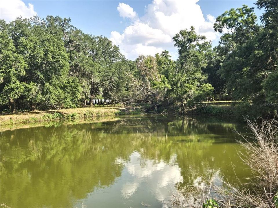 待售: $734,900 (3 贝兹, 1 浴室, 1364 平方英尺)