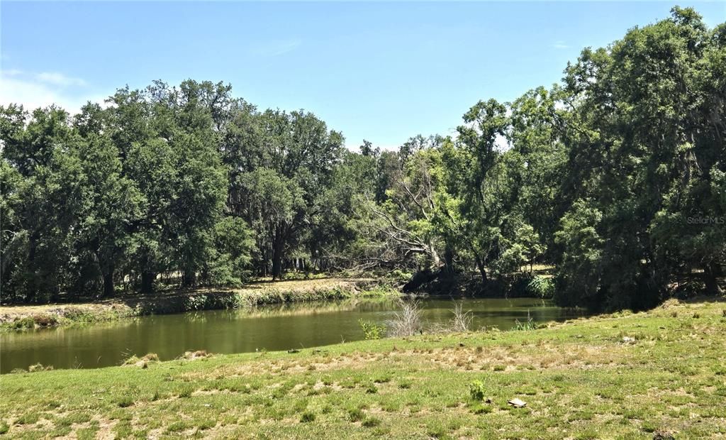 待售: $734,900 (3 贝兹, 1 浴室, 1364 平方英尺)