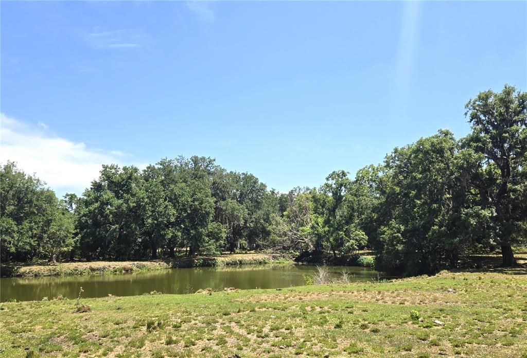 待售: $734,900 (3 贝兹, 1 浴室, 1364 平方英尺)