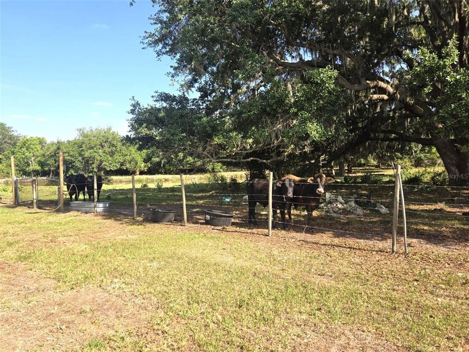 待售: $734,900 (3 贝兹, 1 浴室, 1364 平方英尺)