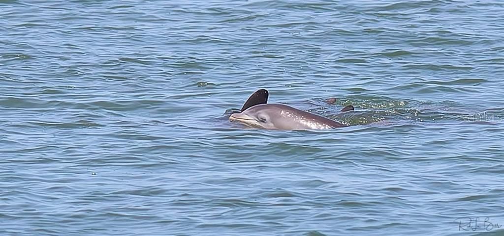 待售: $560,000 (3 贝兹, 2 浴室, 1558 平方英尺)