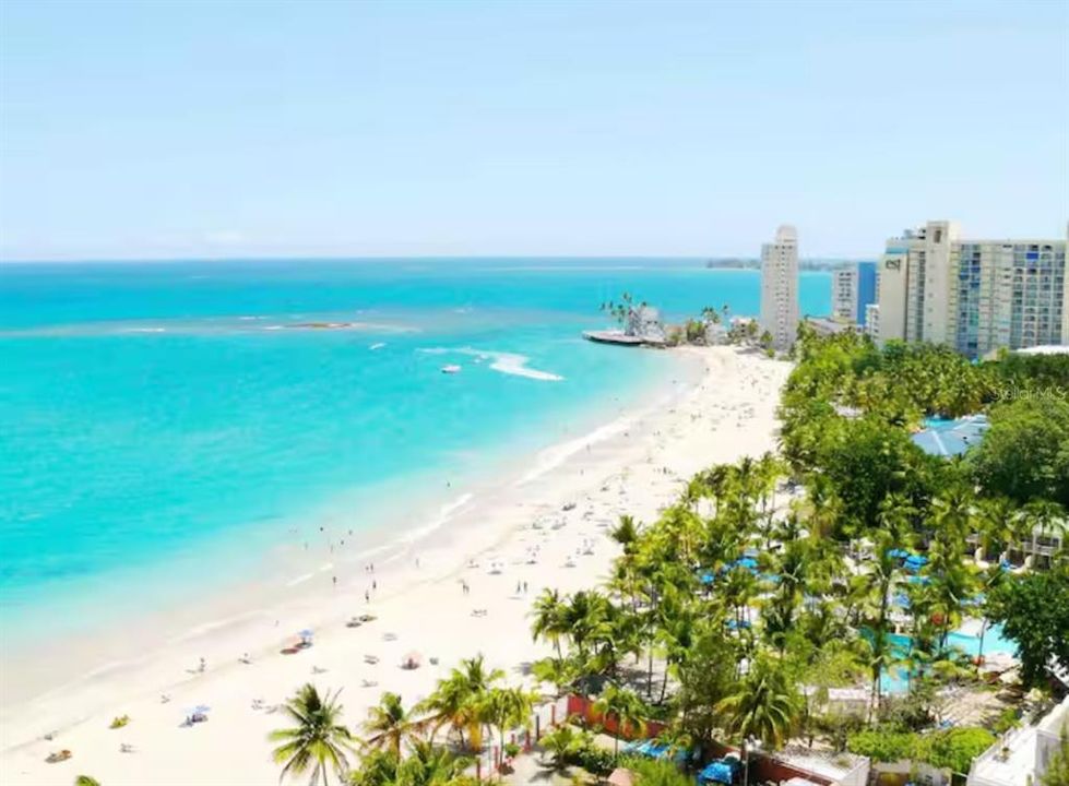 Под контрактом: $795,000 (4 спален, 0 ванн, 1533 Квадратных фут)