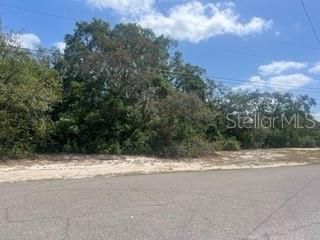 For Sale: $69,000 (0.34 acres)