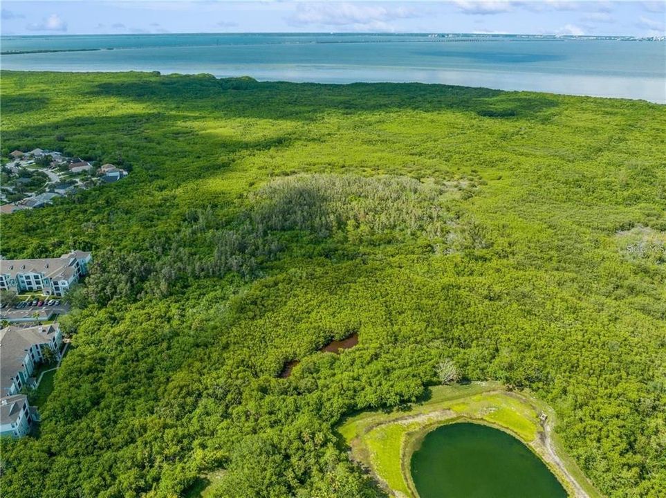 For Sale: $1,200,000 (36.64 acres)