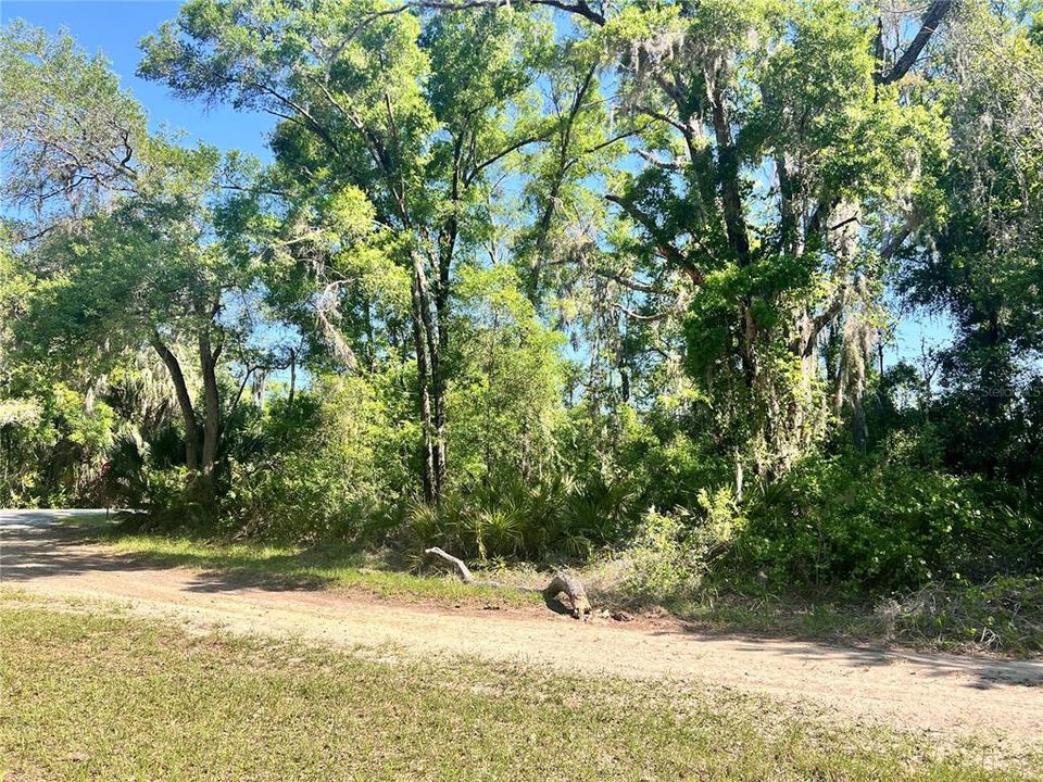 待售: $12,500 (0.21 acres)