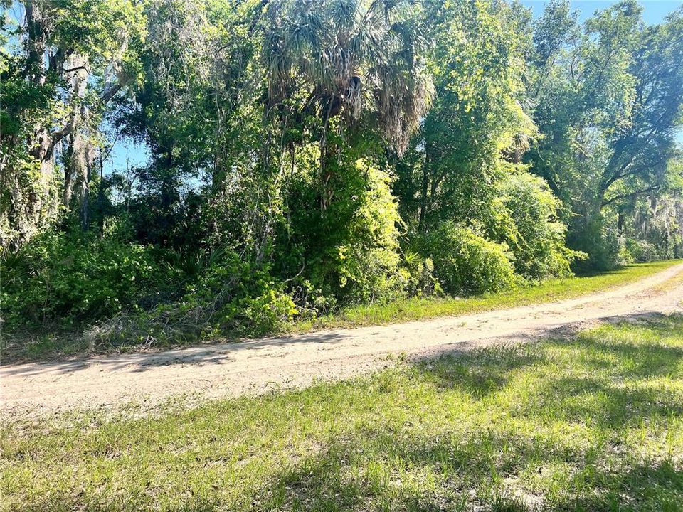 待售: $12,500 (0.21 acres)