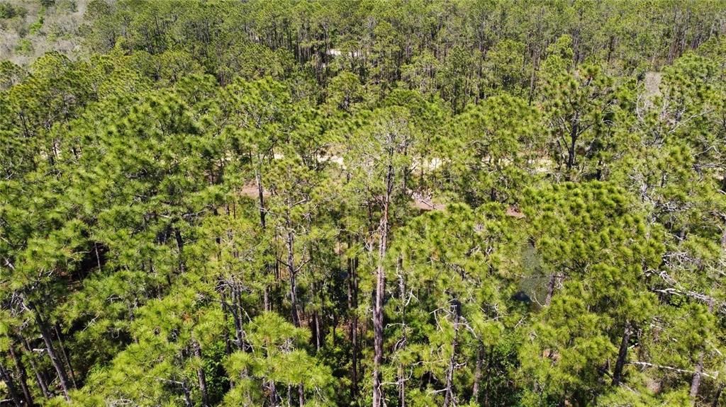 待售: $25,000 (0.23 acres)