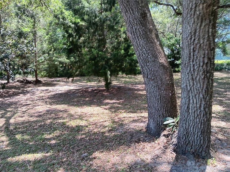 Activo con contrato: $245,000 (3 camas, 1 baños, 1344 Pies cuadrados)