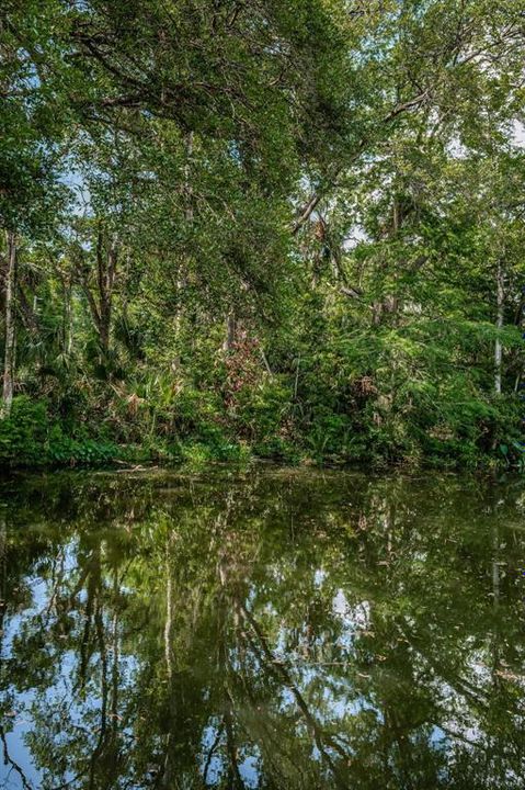 For Sale: $229,900 (2 beds, 1 baths, 920 Square Feet)