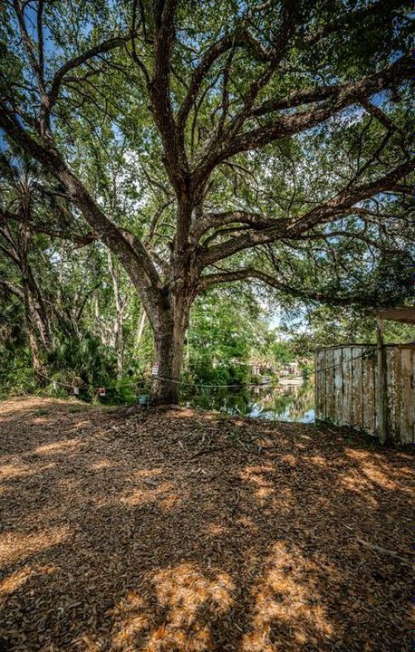 For Sale: $229,900 (2 beds, 1 baths, 920 Square Feet)