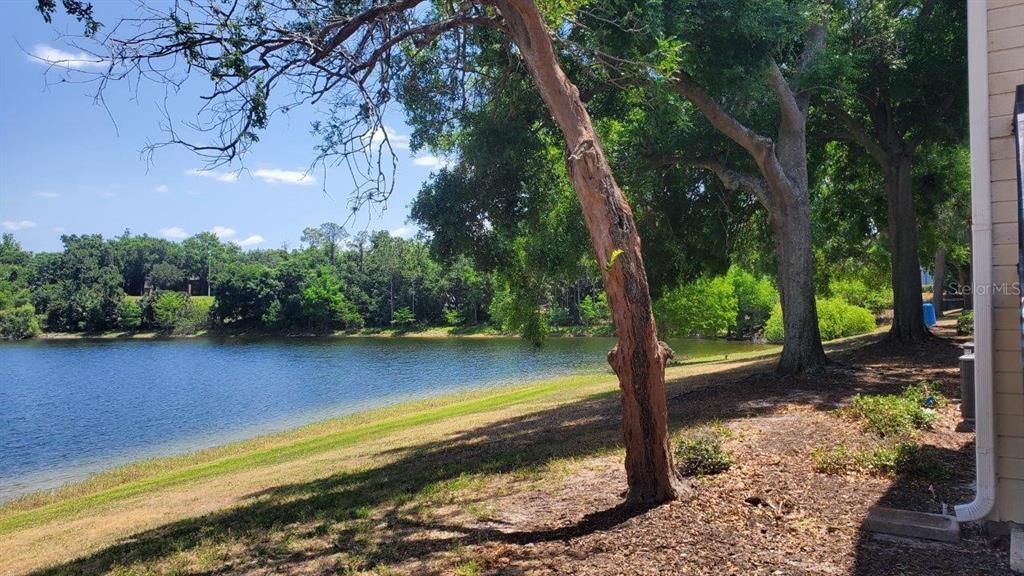 Под контрактом: $129,900 (2 спален, 2 ванн, 934 Квадратных фут)