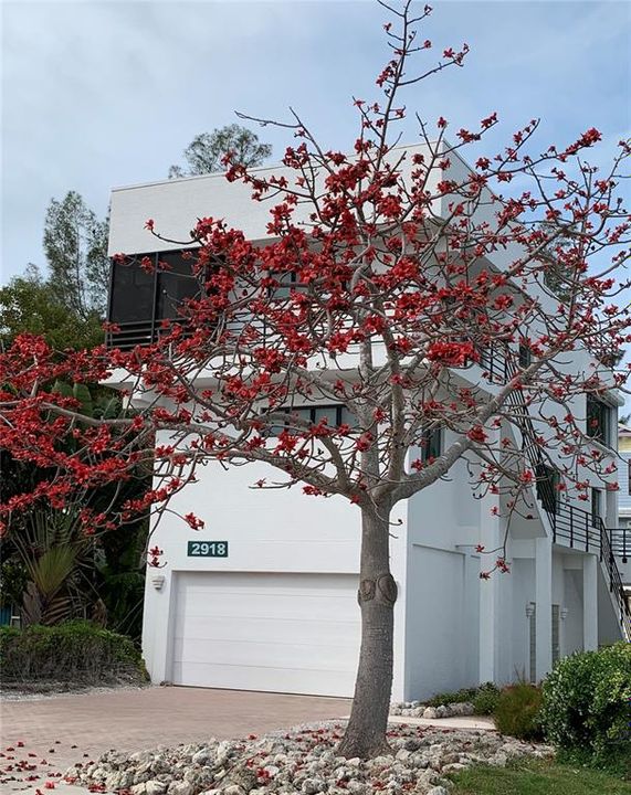 Activo con contrato: $1,690,000 (3 camas, 2 baños, 2262 Pies cuadrados)