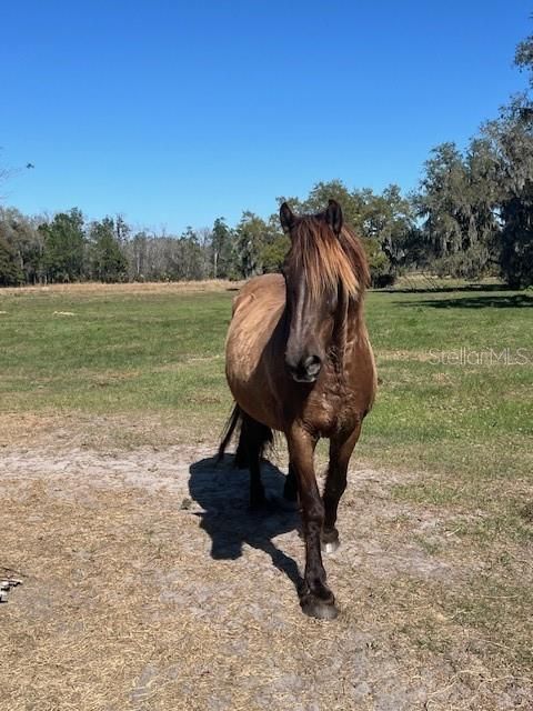 For Sale: $940,000 (18.94 acres)