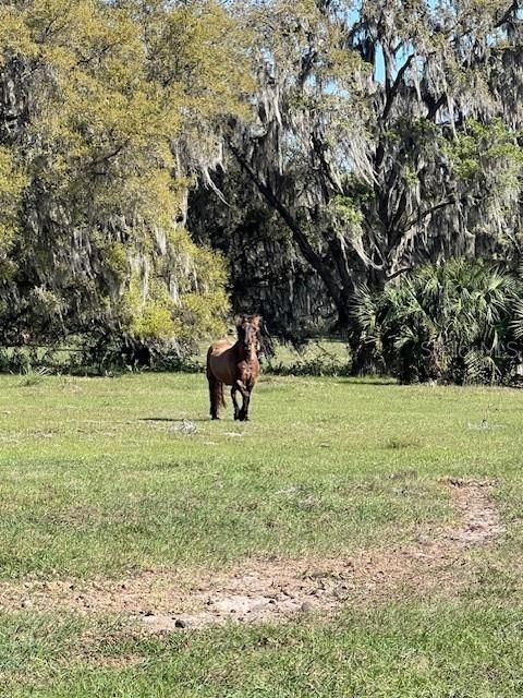 For Sale: $940,000 (18.94 acres)