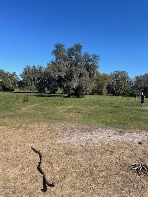 For Sale: $940,000 (18.94 acres)