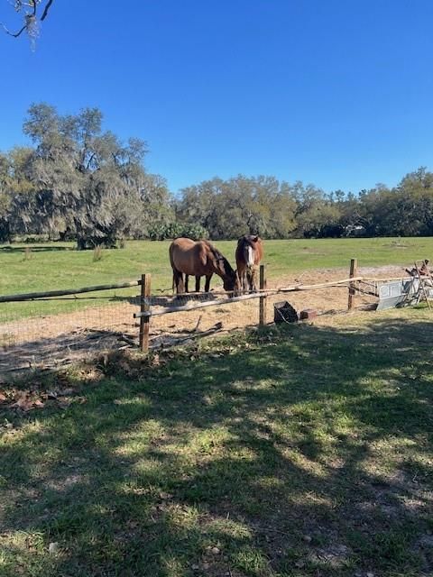 For Sale: $940,000 (18.94 acres)