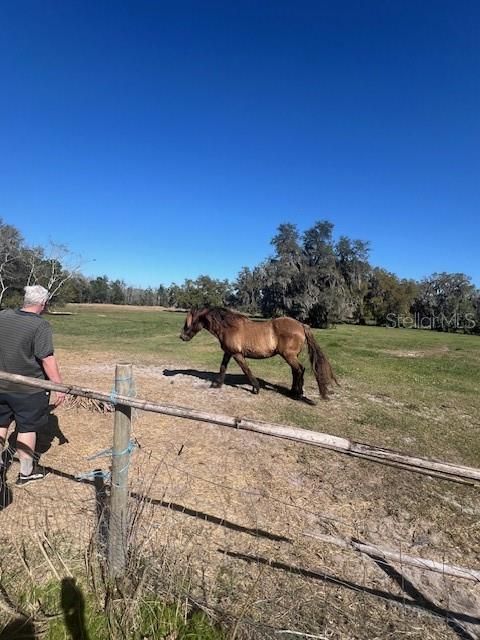 For Sale: $940,000 (18.94 acres)