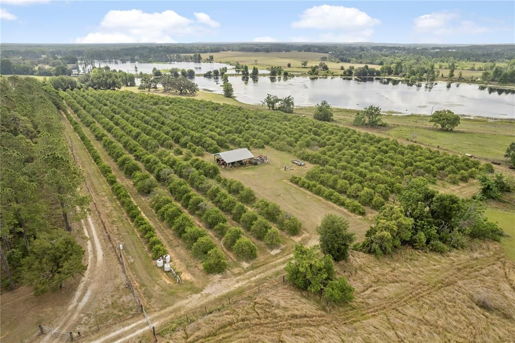 Recently Sold: $600,000 (13.22 acres)