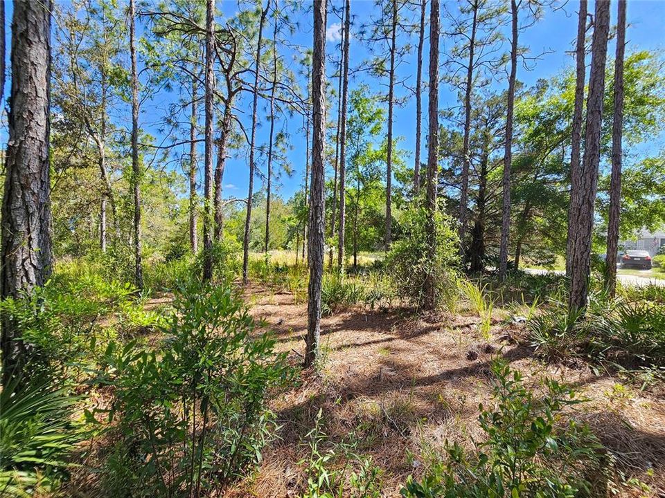 For Sale: $37,100 (0.51 acres)