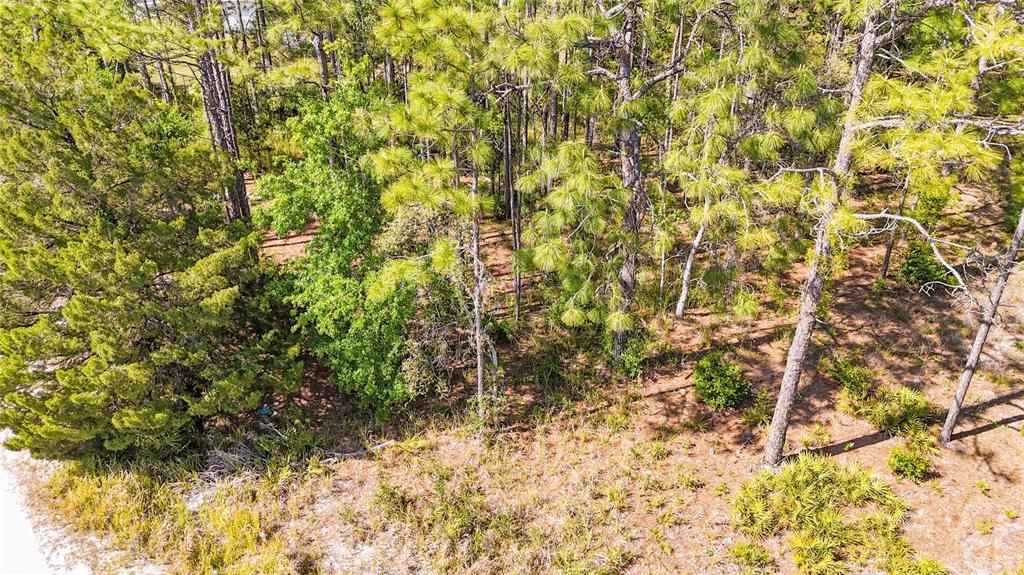 For Sale: $37,100 (0.51 acres)