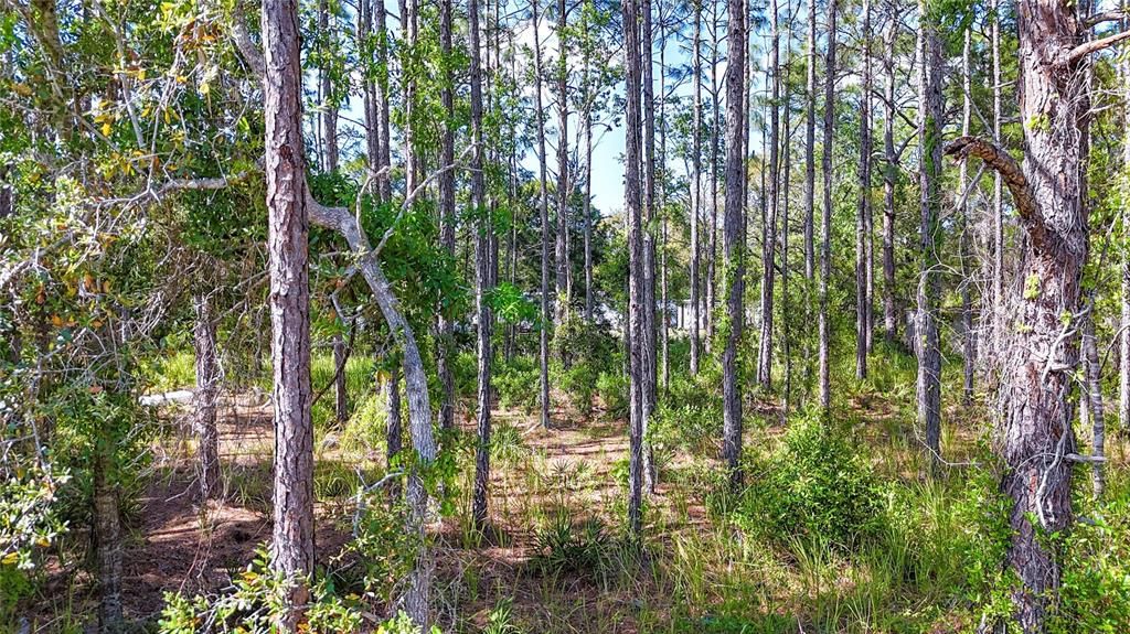 For Sale: $37,100 (0.51 acres)