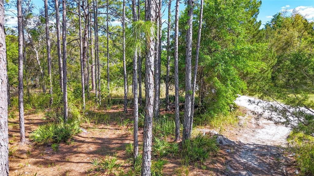 For Sale: $37,100 (0.51 acres)