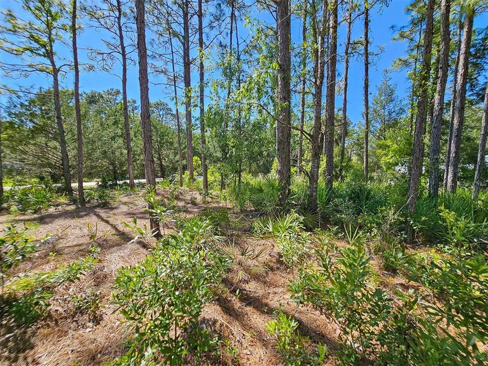 For Sale: $37,100 (0.51 acres)