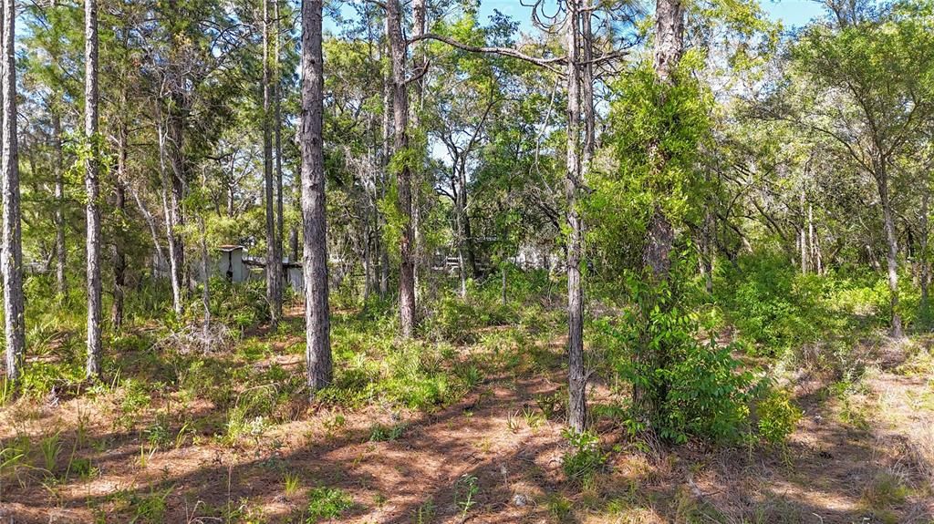 For Sale: $37,100 (0.51 acres)