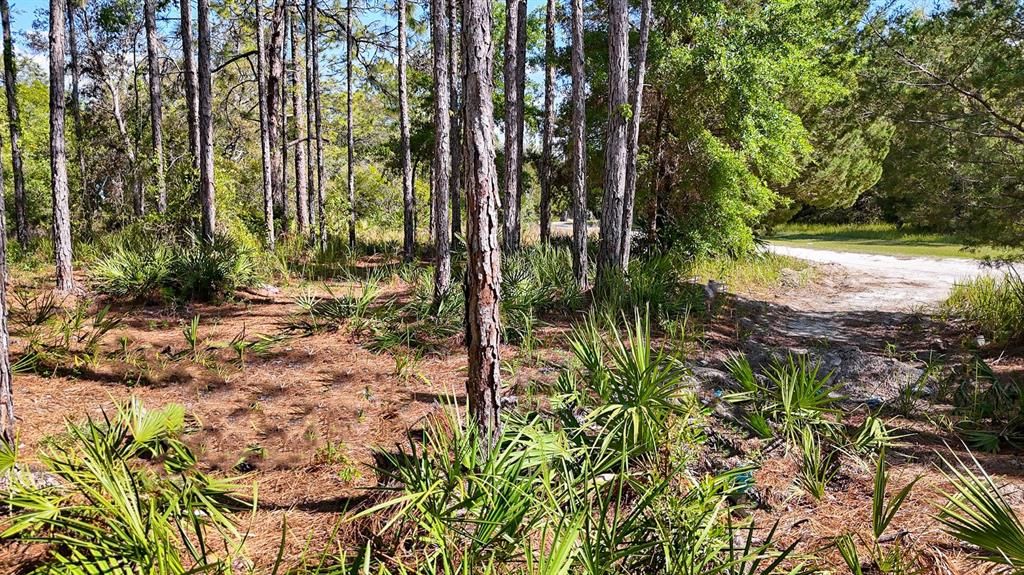 For Sale: $37,100 (0.51 acres)