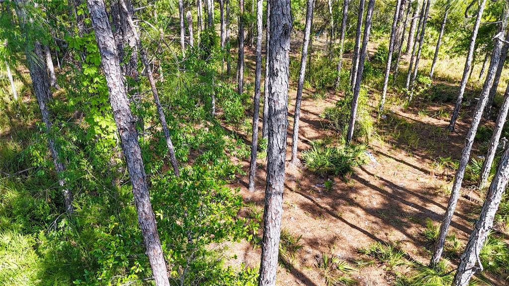 For Sale: $37,100 (0.51 acres)