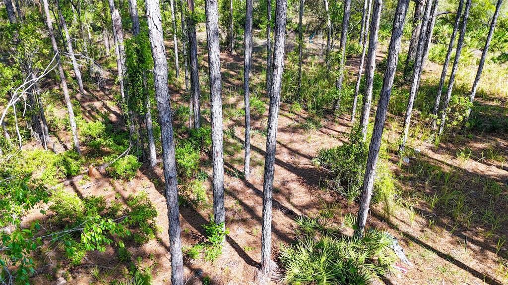 For Sale: $37,100 (0.51 acres)