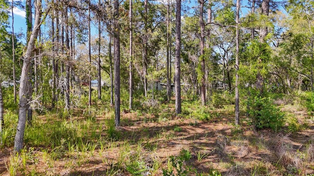 For Sale: $37,100 (0.51 acres)