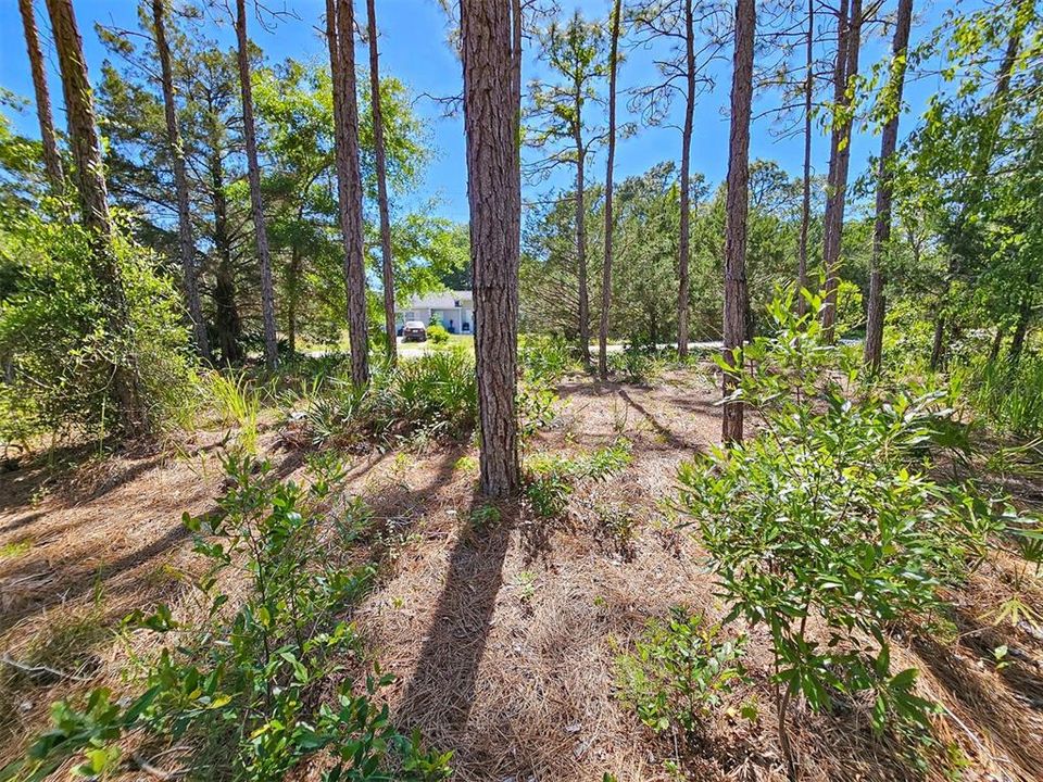 For Sale: $37,100 (0.51 acres)