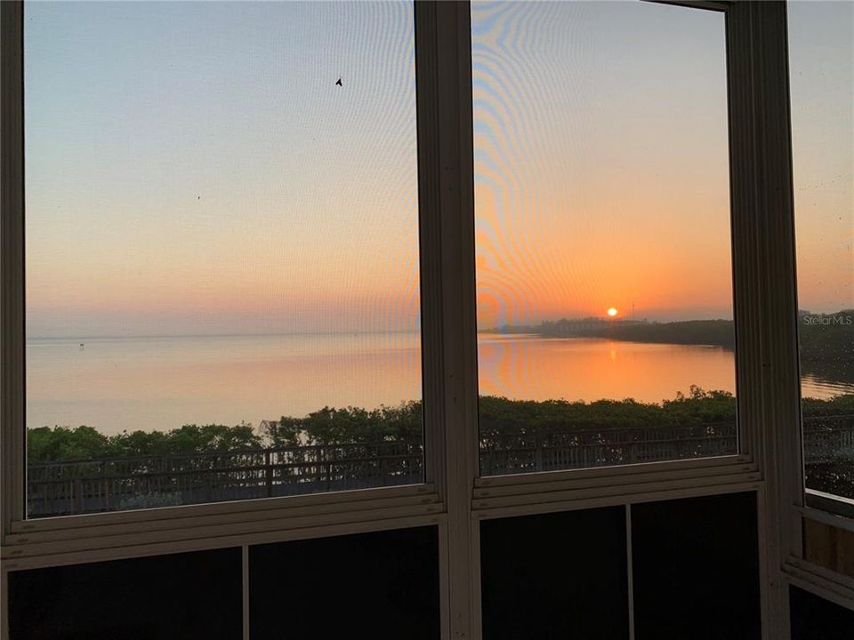 出租: $5,000 (3 贝兹, 2 浴室, 2172 平方英尺)