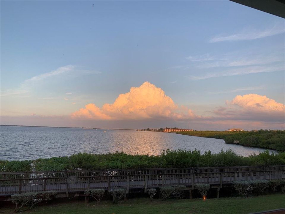 出租: $5,000 (3 贝兹, 2 浴室, 2172 平方英尺)