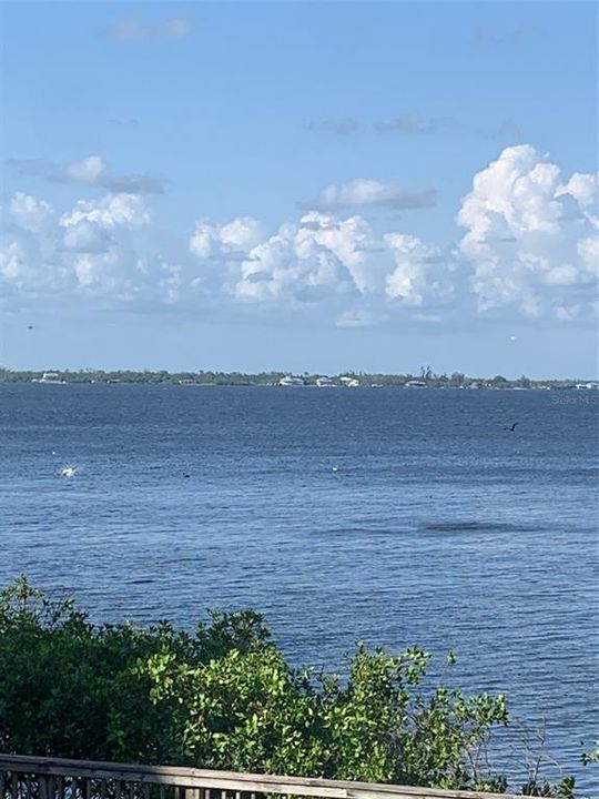 出租: $5,000 (3 贝兹, 2 浴室, 2172 平方英尺)