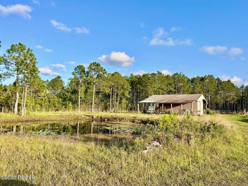 For Sale: $675,000 (10.00 acres)