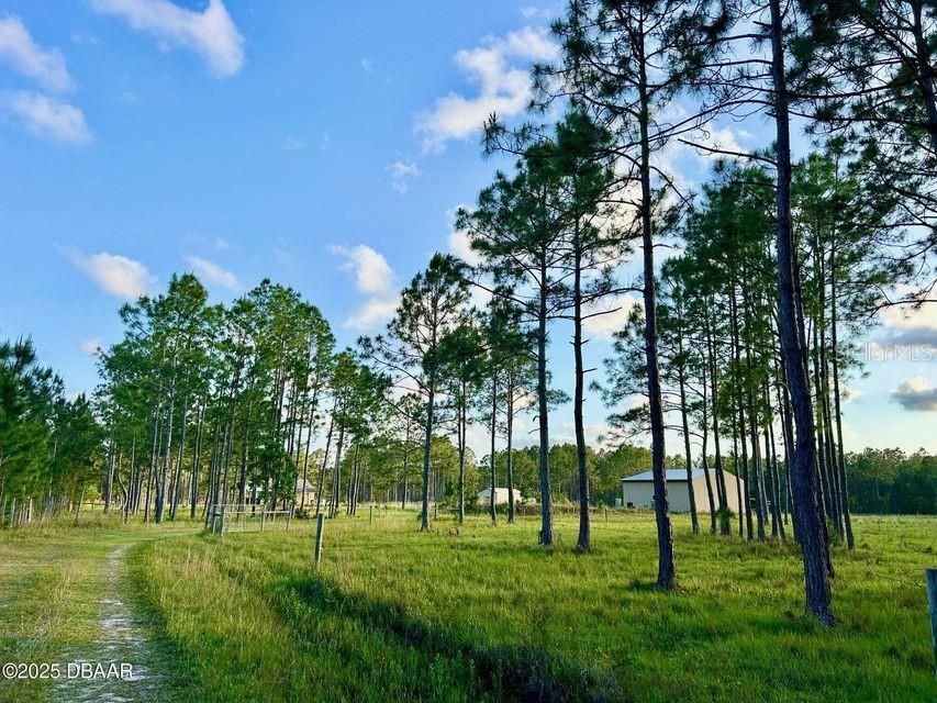 For Sale: $675,000 (10.00 acres)