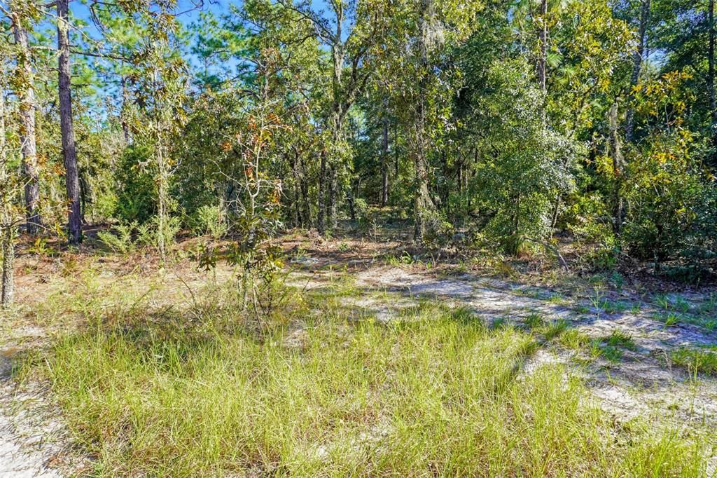 For Sale: $123,999 (5.00 acres)