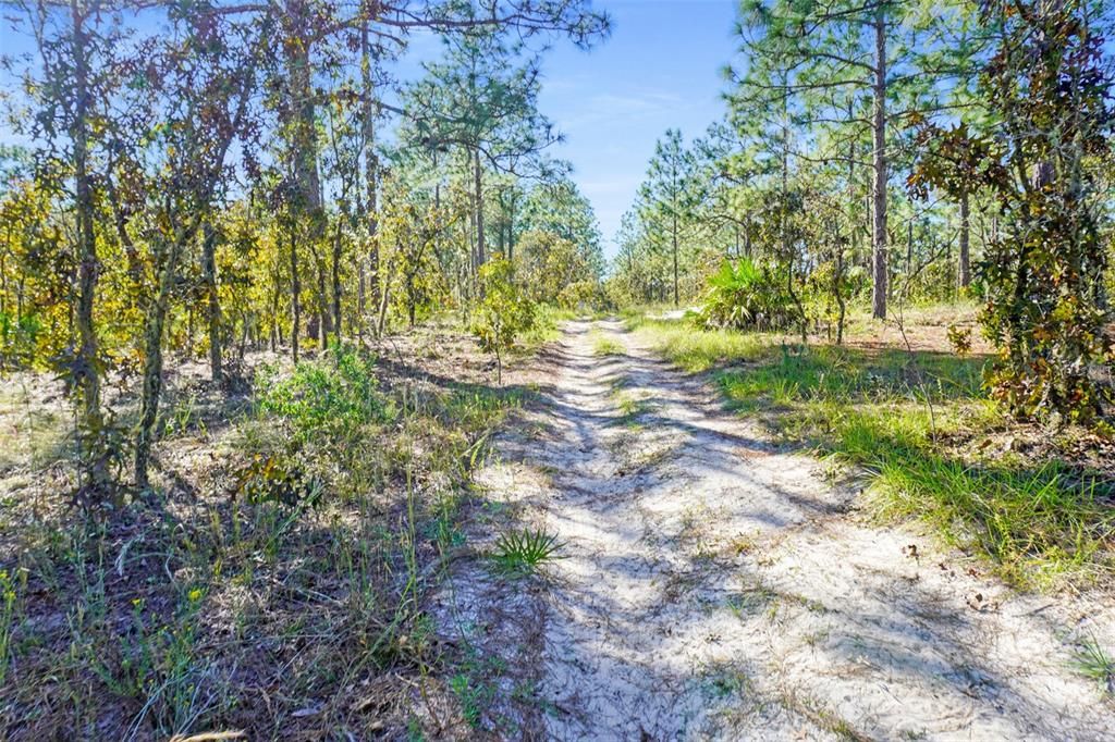 For Sale: $123,999 (5.00 acres)