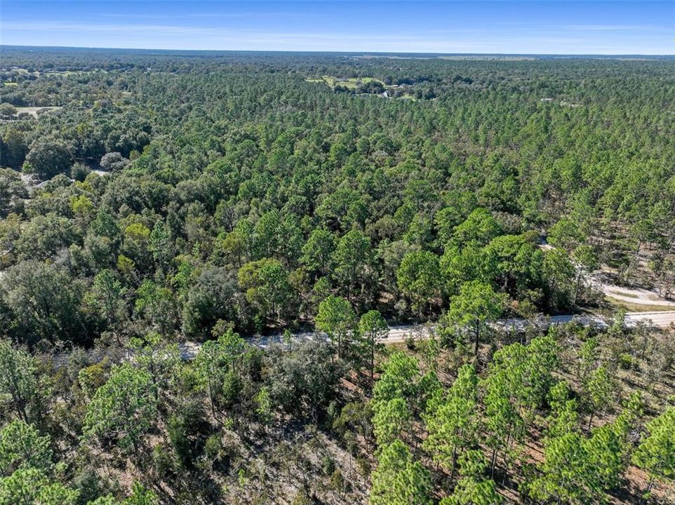 For Sale: $123,999 (5.00 acres)