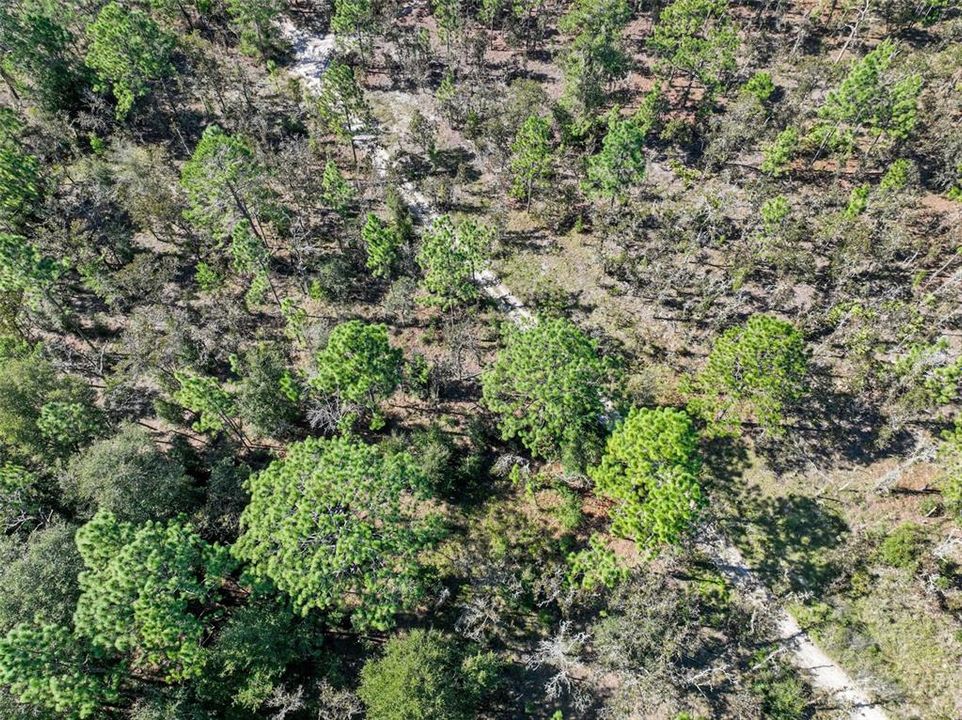 For Sale: $123,999 (5.00 acres)