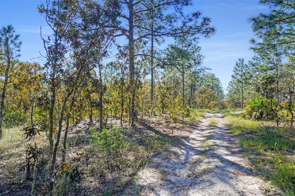 For Sale: $123,999 (5.00 acres)