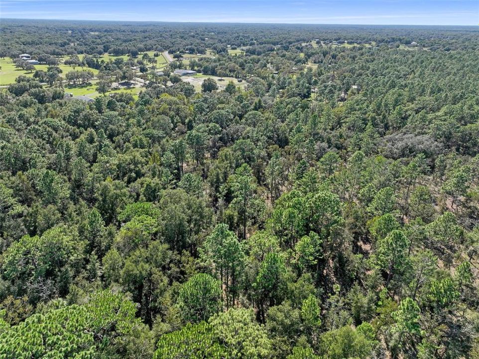 For Sale: $123,999 (5.00 acres)