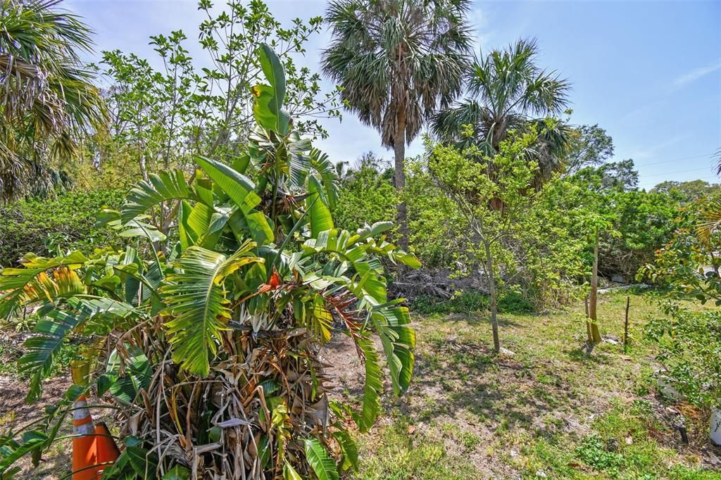 For Sale: $130,000 (0.50 acres)