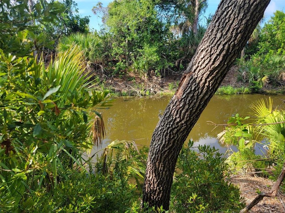 For Sale: $30,000 (0.23 acres)