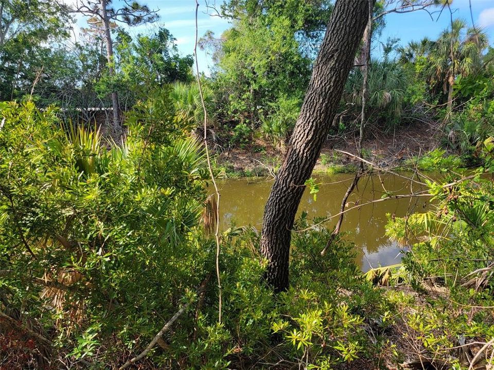 For Sale: $30,000 (0.23 acres)