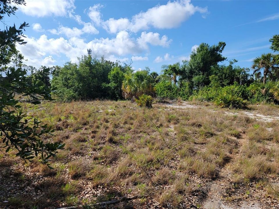 For Sale: $30,000 (0.23 acres)